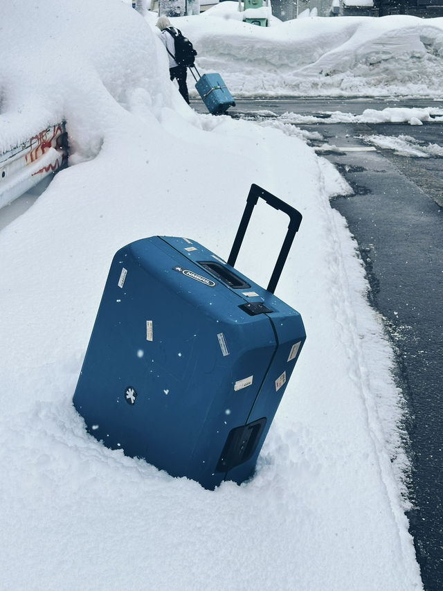 越後湯澤滑雪之旅：白雪皚皚中的美好回憶