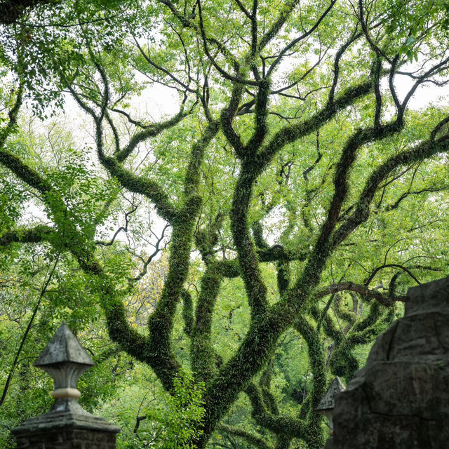 雲溪生態公園•好山好水