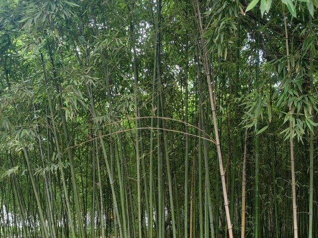 A Journey Through Suzhou's Classical Garden- Lingering Garden