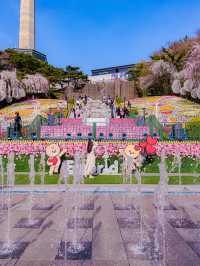 대구 벚꽃 명소 추천🌸