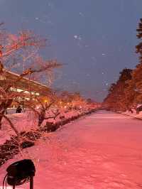 雪降る弘前城、冬の特権雪桜ライトアップ✨