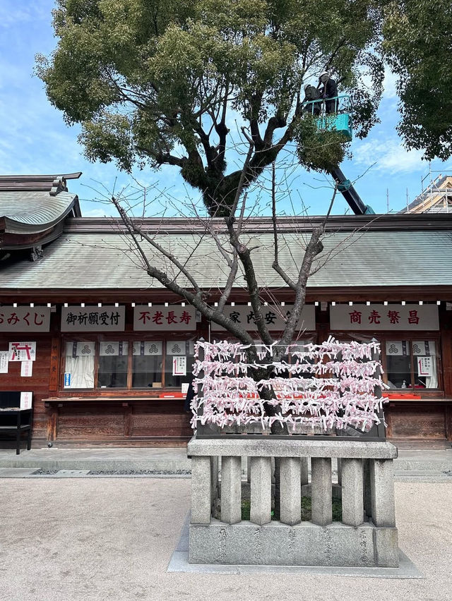 ศาลเจ้าคูชิดะ เมืองฟุกุโอกะ 🇯🇵