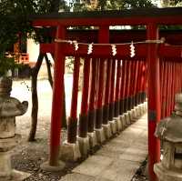 新宿花園神社 | 東京市中心賞櫻的隱秘寶地