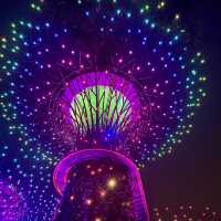 【新加坡旅遊】Supertree Grove🌳｜白天看感覺沒甚麼 晚上點燈卻超漂亮