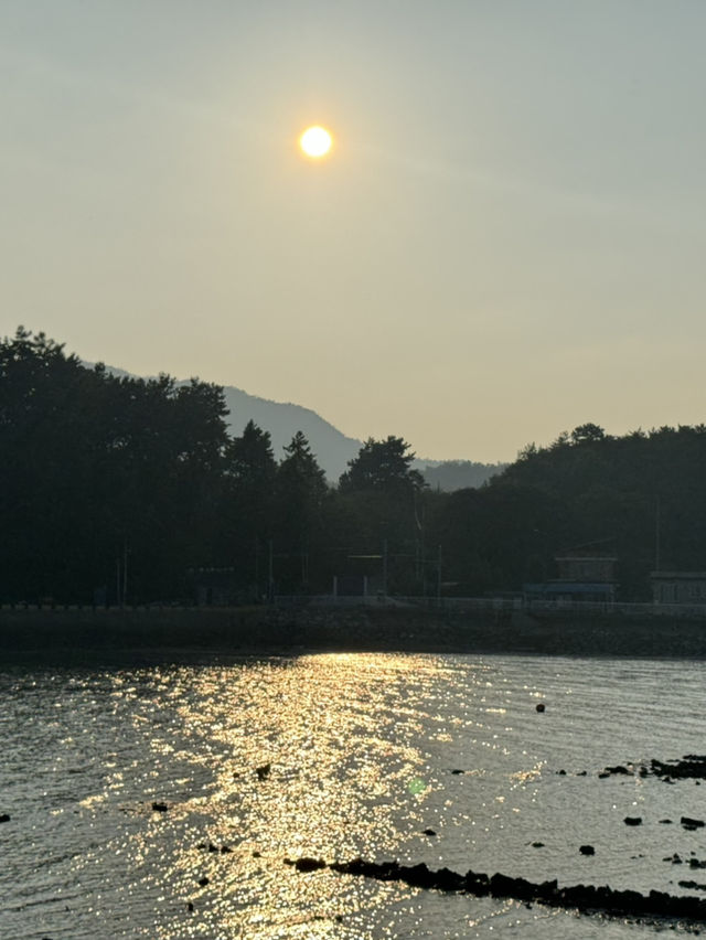 대한민국의 무인도⁉️