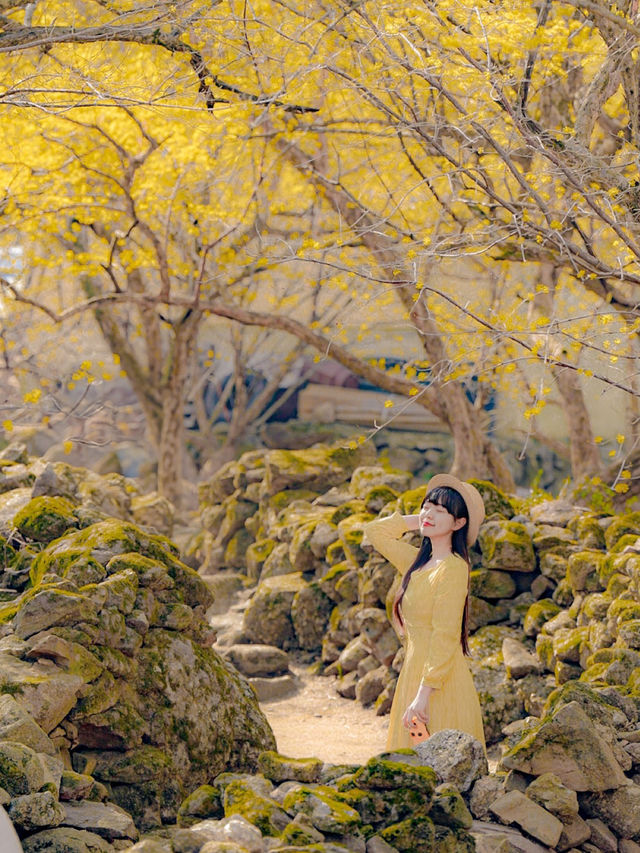 💛산수유가 보고 싶으면 꼭 가야 하는 곳💛