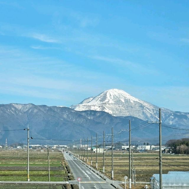 福井県敦賀市の海鮮市場「日本海さかな街」