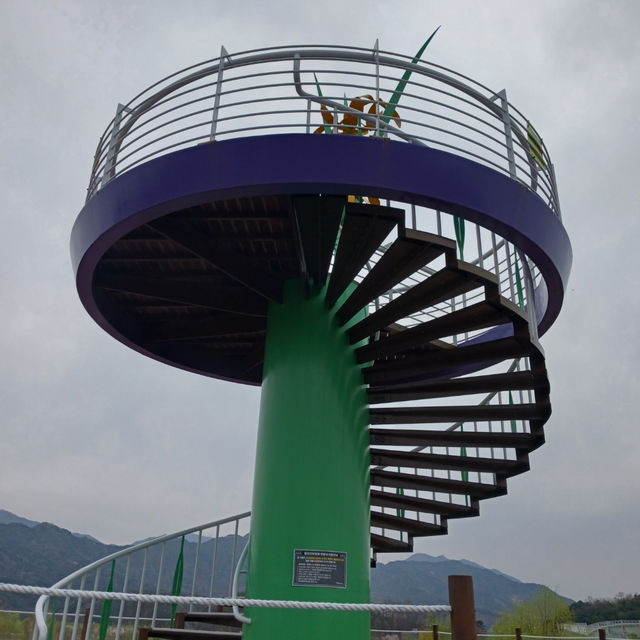  "거창 창포원, 마음을 치유하는 자연의 선물"