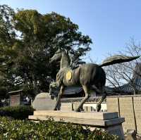 🇯🇵【香川県】四国八十八ヶ所霊場 第79番札所 金華山 高照院 天皇寺
