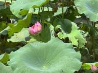 Lessons of Ecology at the Lions Nature Education Centre