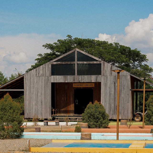 Isbjørn • Chiang Dao, Chiangmai 
