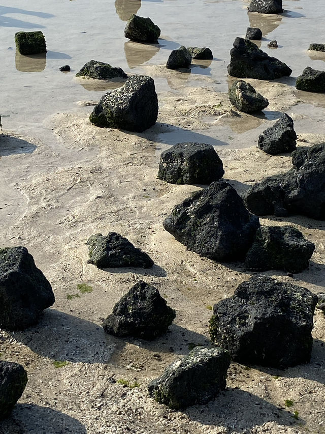 이국적인 제주바다 명소🌴 협재해수욕장 🌊