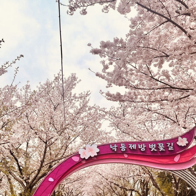 A Dreamy Spot for Spring Photography