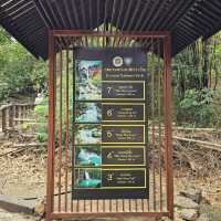 น้ำตกเอราวัณ ขุมทรัพย์แห่งป่าตะวันตก
