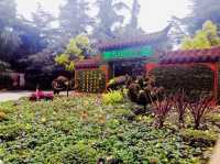 Discover the Charm of Old Chengdu - The Old Chengdu Folk Park