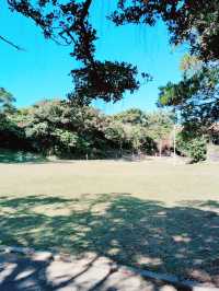 🌸 **沖繩伊祖公園櫻花觀賞遊覽分享** 🌸