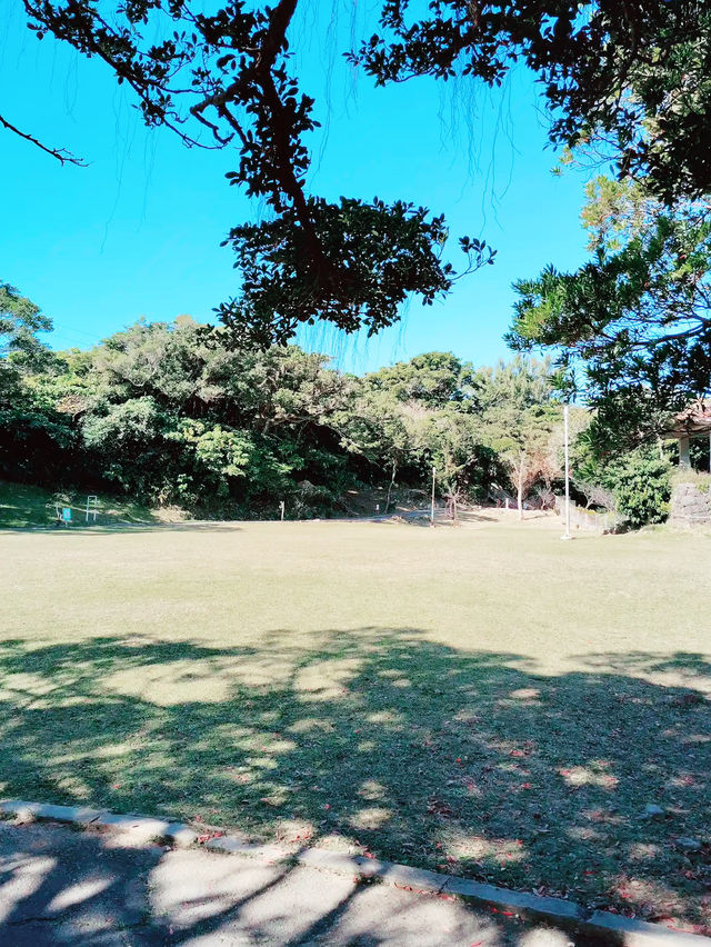 🌸 **沖繩伊祖公園櫻花觀賞遊覽分享** 🌸