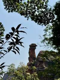 烏龜烏龜翹：江西龜峯