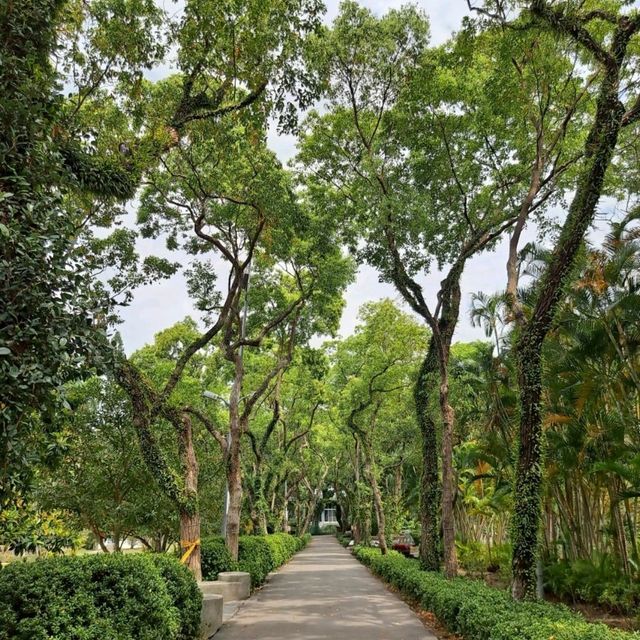 台北｜士林官邸正館，走進歷史的時光隧道 