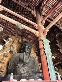 【奈良×春旅】 世界最大級の木造建造物