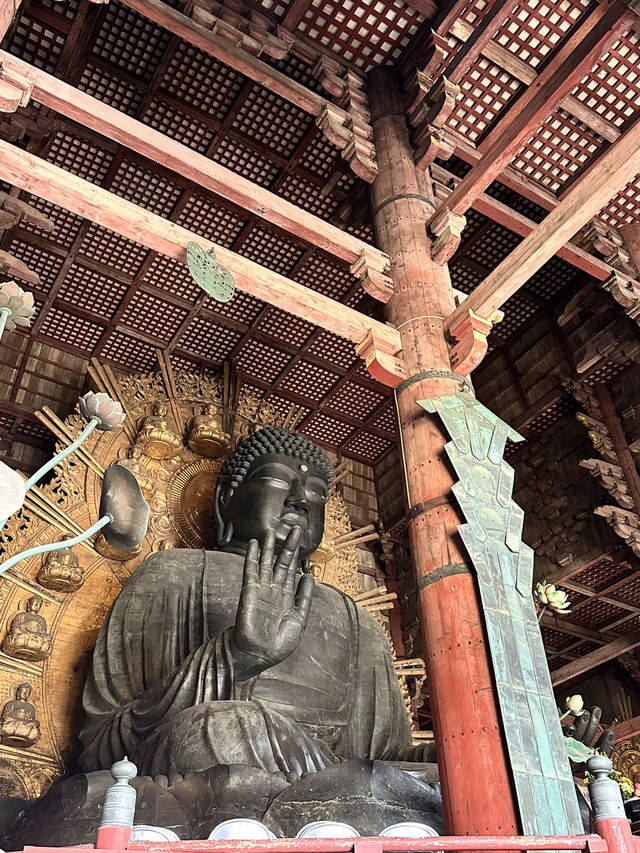 【奈良×春旅】 世界最大級の木造建造物