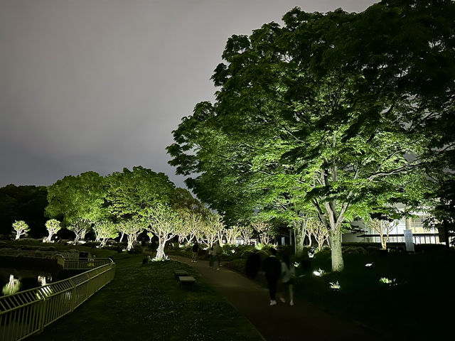 แสงสี ท่ามกลางธรรมชาติ ยามค่ำคืน ณ โอซาก้า