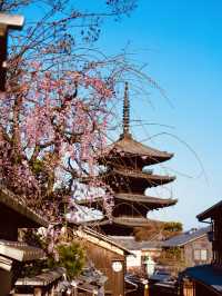 【京都×春旅】  八坂の塔と桜が撮れるスポットは大人気！