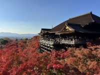 Kiyomizu-dera จุดชมใบไม้เปลี่ยนสีโด่งดังในญี่ปุ่น