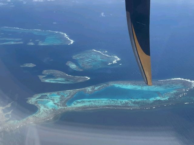 [🇳🇨イル・デ・パン] 絶景フライト！エアカレドニアでヌメアからイル・デ・パンへ