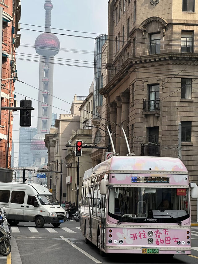 Shanghai City Walk & Spring Flower Viewing Guide 🌸