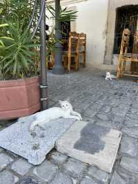 Spring Trip to Baku: Exploring the Old City