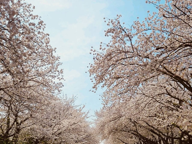 Romantic Spring Walk Through a train station 