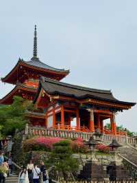 🏯 교토 필수 관광지 BEST 5 – 일본 전통 감성을 제대로 느낄 곳!