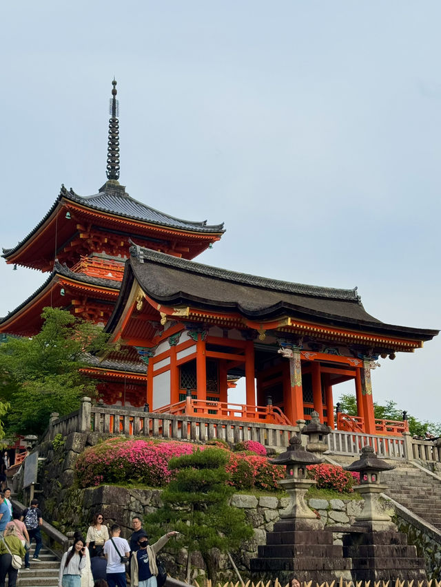 🏯 교토 필수 관광지 BEST 5 – 일본 전통 감성을 제대로 느낄 곳!