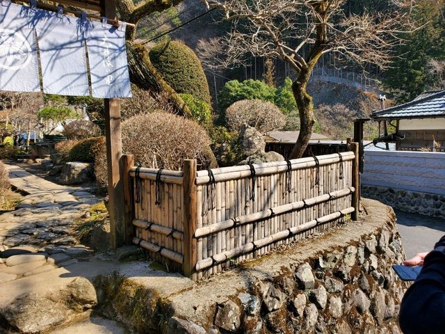 [🇯🇵奥多摩] 奥多摩の街の魅力と自然の静けさ