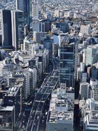 Shibuya Sky โตเกียว 360° แบบตะโกน
