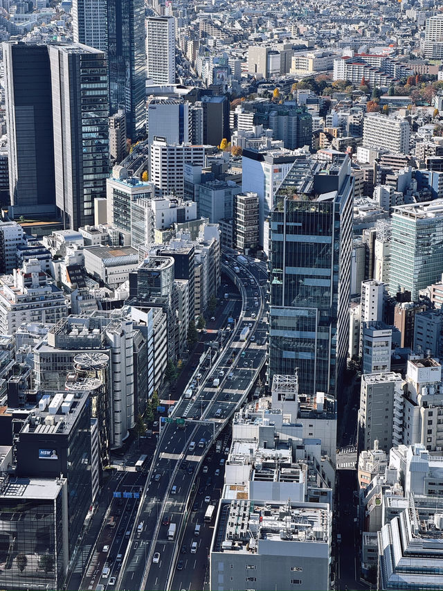 Shibuya Sky โตเกียว 360° แบบตะโกน