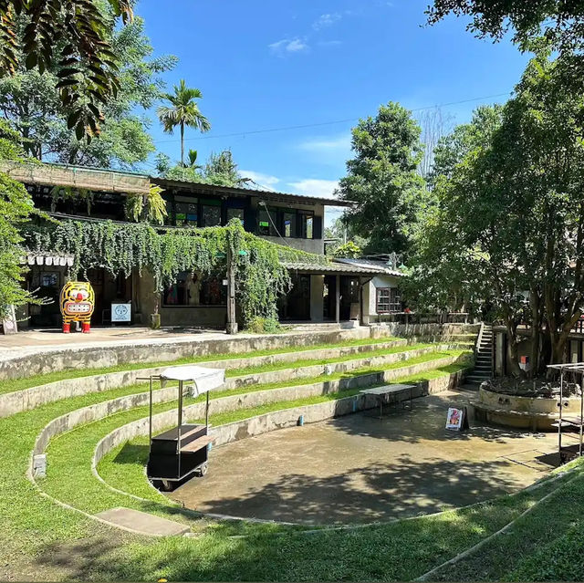 แพลนทริปสุดชิวหนึ่งวันที่เชียงใหม่ 🌤️