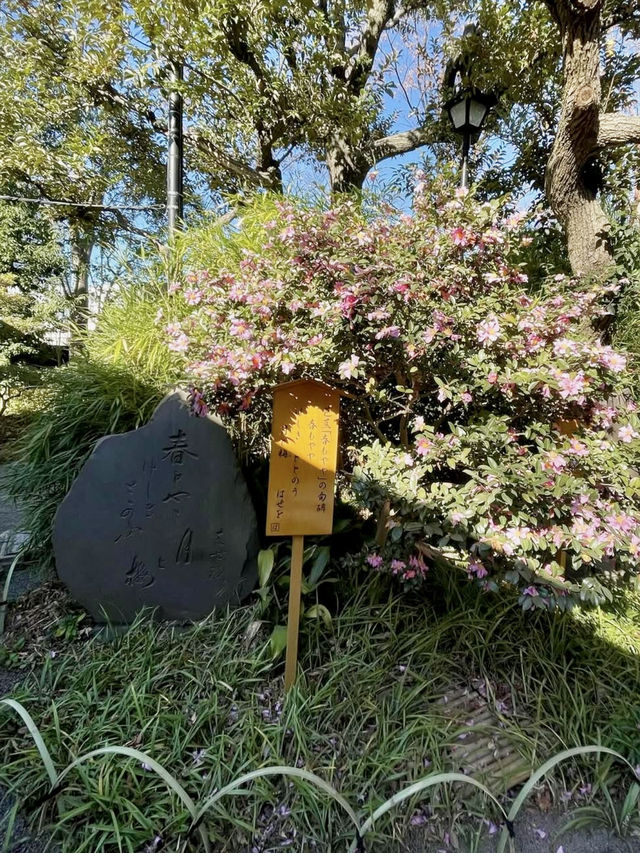 Spring Outing: Mukojima Hyakkaen Garden🌸