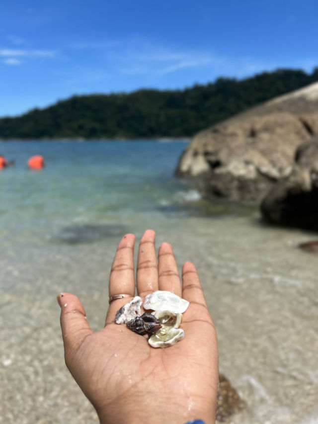 PANGKOR MOMENTS! 