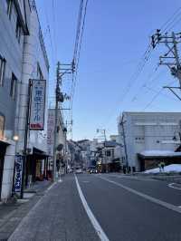 【新潟】東京から新幹線で1時間！スキーと温泉の街・越後湯沢