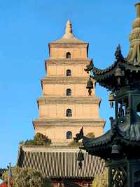Stepping Into History: My Journey to the Majestic Big Wild Goose Pagoda