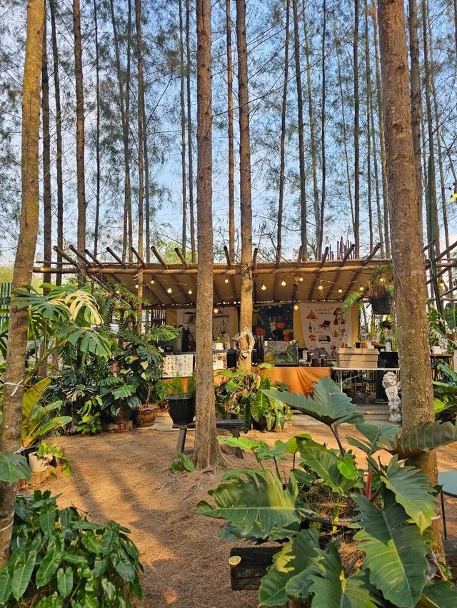 ภูผาป่าสน | ราชบุรี