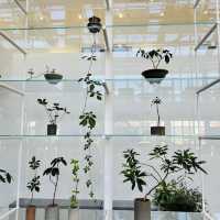 首爾植物館PH玻璃屋裡的夢幻植物展，拍照天堂等你來！🌿📸