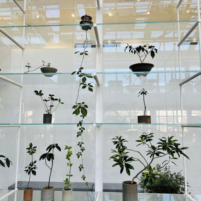首爾植物館PH玻璃屋裡的夢幻植物展，拍照天堂等你來！🌿📸
