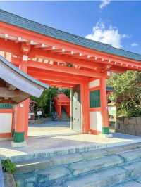 【絶景神社】目の前はすぐ海の開運神社がオススメ！