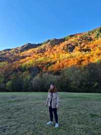 Arrowtown in Autumn – A Magical Blend of Nature, Culture, and Festive Vibes🍂