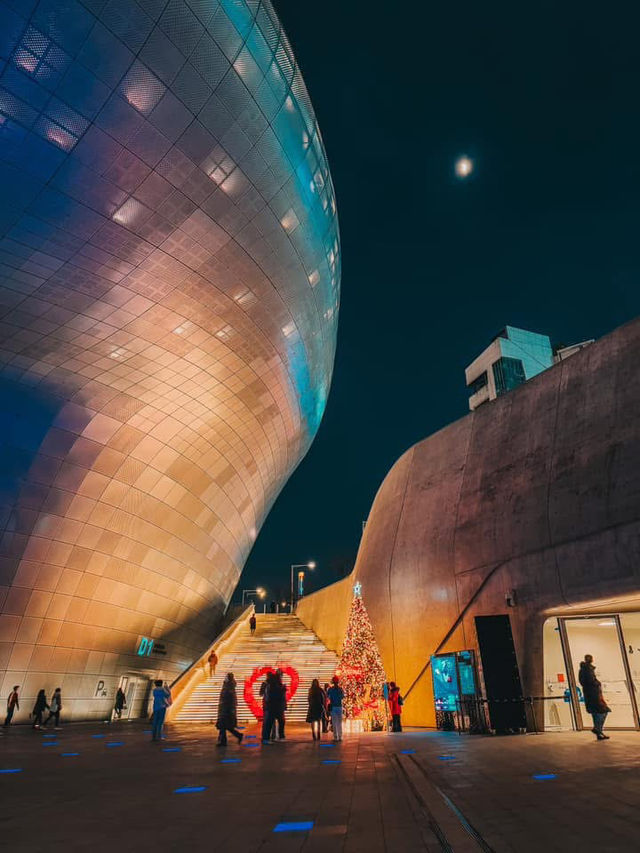 From Palaces to Alpacas: A Whirlwind Seoul Adventure