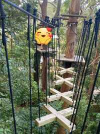 在動物園裏穿梭tree top