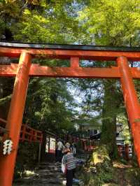 京都5間氣氛好、能量強的神社！感覺有點不一樣吧～
